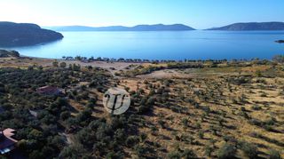 Οικόπεδο 8.503 τ.μ. για πώληση, Αργολίδα, Ερμιόνη-thumb-11