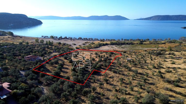 Οικόπεδο 8.503 τ.μ. για πώληση, Αργολίδα, Ερμιόνη