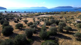 Οικόπεδο 8.503 τ.μ. για πώληση, Αργολίδα, Ερμιόνη-thumb-3