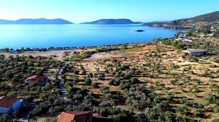 Οικόπεδο 8.503 τ.μ. για πώληση, Αργολίδα, Ερμιόνη-thumb-4