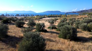 Οικόπεδο 8.503 τ.μ. για πώληση, Αργολίδα, Ερμιόνη-thumb-5