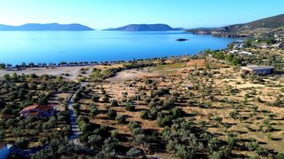 Οικόπεδο 8.503 τ.μ. για πώληση, Αργολίδα, Ερμιόνη-thumb-8