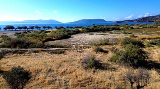 Οικόπεδο 8.503 τ.μ. για πώληση, Αργολίδα, Ερμιόνη-thumb-9