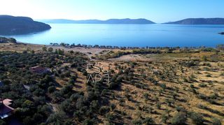 Οικόπεδο 8.503 τ.μ. για πώληση, Αργολίδα, Ερμιόνη-thumb-10