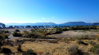 Οικόπεδο 8.503 τ.μ. για πώληση, Αργολίδα, Ερμιόνη-thumb-11