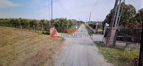 Αγροτεμάχια 6.500τ.μ. για πώληση-Επανομή » Κέντρο