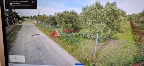 Αγροτεμάχια 6.500 τ.μ. προς πώληση