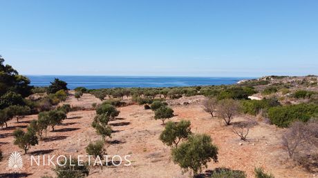 Αγροτεμάχια 5.940,88τ.μ. για πώληση-Κεφαλονιά » Παλική