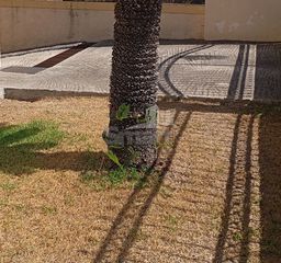 Κατάστημα 220 τ.μ. πρός ενοικίαση, Αχαΐα, Πάτρα-thumb-11