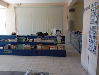 Κατάστημα 220 τ.μ. πρός ενοικίαση, Αχαΐα, Πάτρα-thumb-4