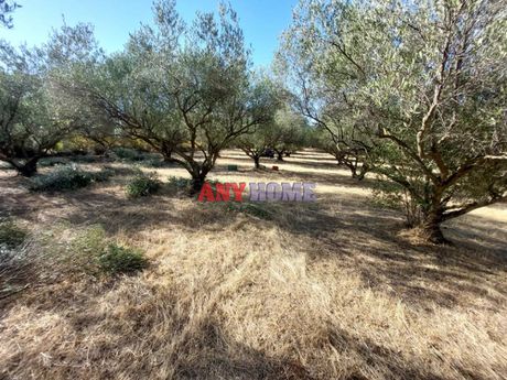 Parcel 3.500sqm for sale-Thermi » Vasilika » Center