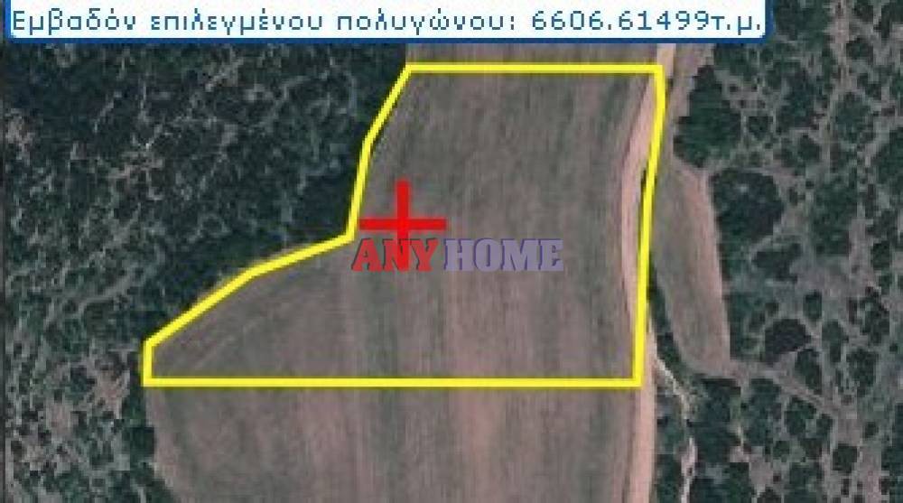 Αγροτεμάχια 6.687 τ.μ. προς πώληση, Κέντρο Βασιλικών