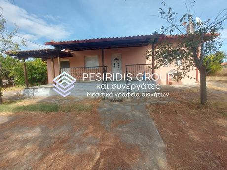 Detached home 57sqm for sale-Panagia » Pirgadikia