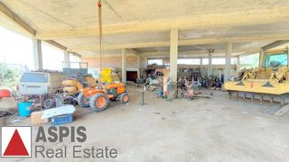 Επιχειρηματικό κτίριο 2.000 τ.μ. προς ενοικίαση, Εύβοια, Κάρυστος-thumb-8