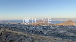 Αγροτεμάχια 6.515 τ.μ. για πώληση