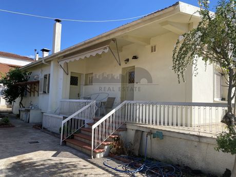 Μονοκατοικία 160τ.μ. για ενοικίαση-Αρτέμιδα » Κάτω λεχώνια