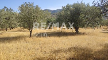 Parcel 13.011,59sqm for sale-Aisonia » Dimini