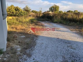 Αγροτεμάχια 7.100 τ.μ. για πώληση, Ν. Σερρών, Σέρρες-thumb-5