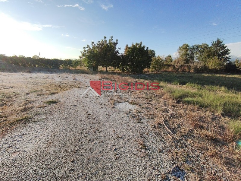 Αγροτεμάχια 7.100 τ.μ. προς πώληση, Κρίνος Σερρών