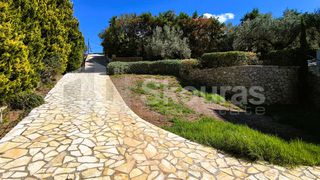 Studio / γκαρσονιέρα 29 τ.μ. για ενοικίαση, Αργολίδα, Κρανίδι-thumb-24