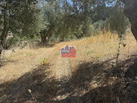 Parcel 1.000 sqm for sale