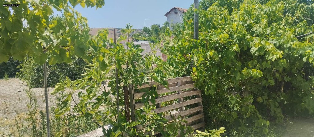 Μονοκατοικία 800 τ.μ. πρός πώληση, Ν. Λάρισας, Λάρισα