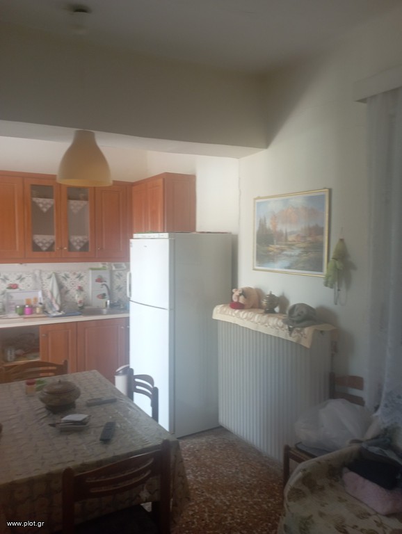 Μονοκατοικία 800 τ.μ. για πώληση, Ν. Λάρισας, Λάρισα