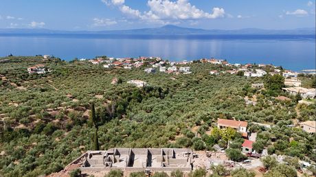 Βίλλα 229τ.μ. για πώληση-Αβία » Αρχοντικό