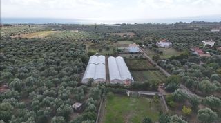 Οικόπεδο 1.360 τ.μ. για πώληση, Μεσσηνία, Μεσσήνη-thumb-10