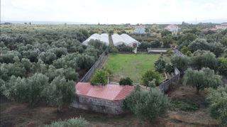 Οικόπεδο 1.360 τ.μ. για πώληση, Μεσσηνία, Μεσσήνη-thumb-7
