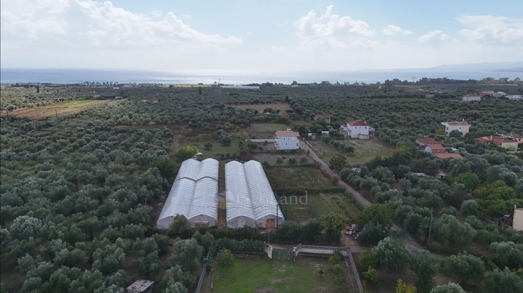 Οικόπεδο 1.360 τ.μ. προς πώληση, Μεσσηνία, Μεσσήνη
