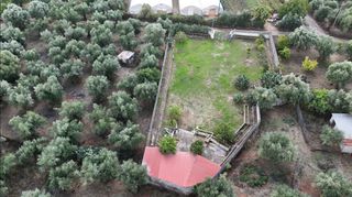 Οικόπεδο 1.360 τ.μ. για πώληση, Μεσσηνία, Μεσσήνη-thumb-11