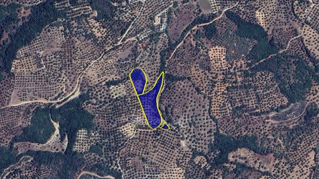 Αγροτεμάχια 6.322τ.μ. για πώληση-Κορώνη » Άγιος ισίδωρος
