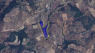 Αγροτεμάχια 6.322 τ.μ. για πώληση