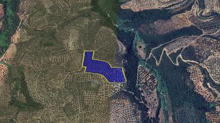 Αγροτεμάχια 15.860 τ.μ. για πώληση, Μεσσηνία, Ανδρούσα-thumb-11