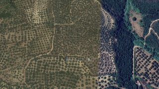 Αγροτεμάχια 15.860 τ.μ. για πώληση, Μεσσηνία, Ανδρούσα-thumb-14