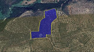 Αγροτεμάχια 15.860 τ.μ. για πώληση, Μεσσηνία, Ανδρούσα-thumb-2