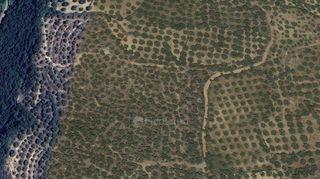Αγροτεμάχια 15.860 τ.μ. για πώληση, Μεσσηνία, Ανδρούσα-thumb-9