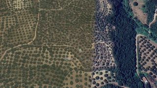Αγροτεμάχια 15.860 τ.μ. για πώληση, Μεσσηνία, Ανδρούσα-thumb-5