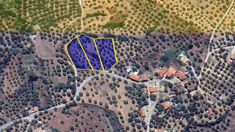 Οικόπεδο 4.500τ.μ. για πώληση-Κορώνη » Άγιος ισίδωρος