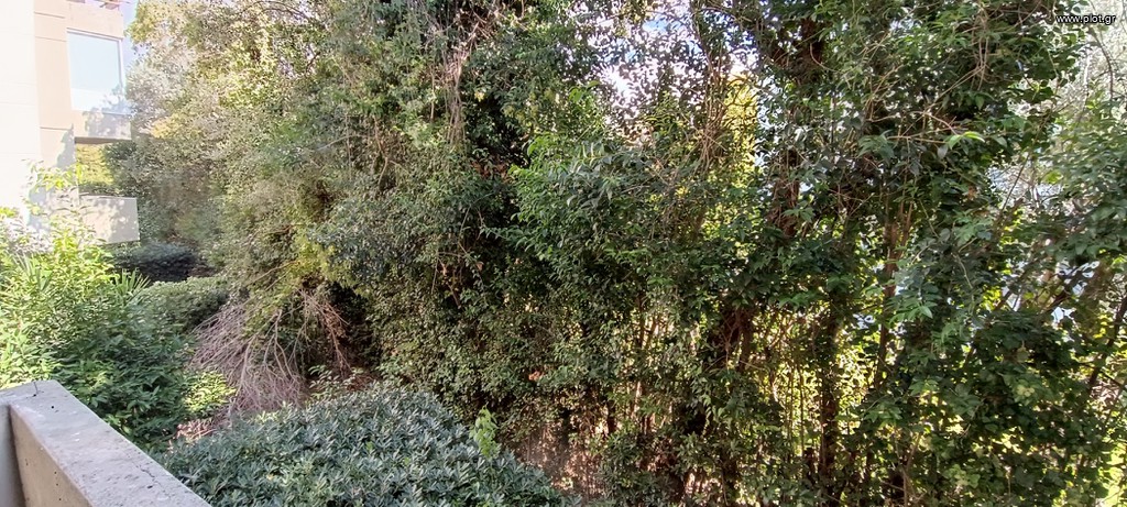 Διαμέρισμα 165 τ.μ. πρός πώληση, Αθήνα - Βόρεια Προάστια, Κηφισιά