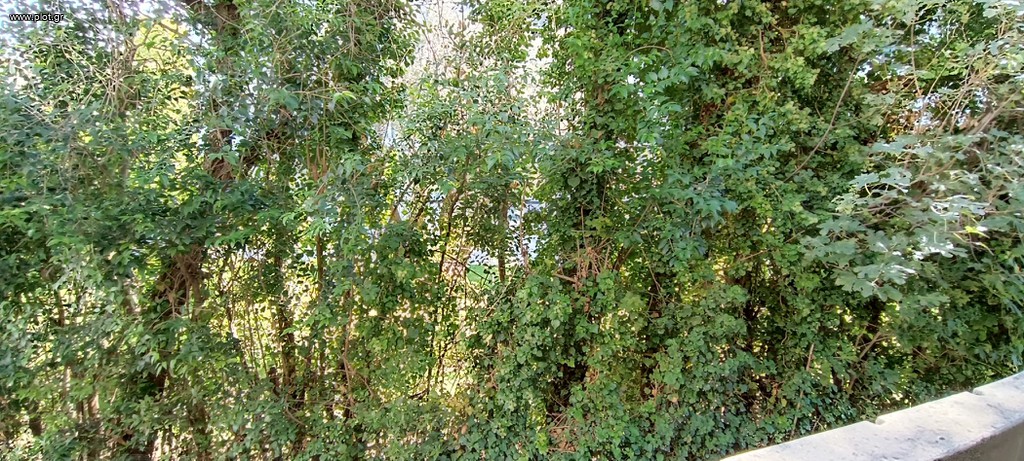 Διαμέρισμα 165 τ.μ. πρός πώληση, Αθήνα - Βόρεια Προάστια, Κηφισιά