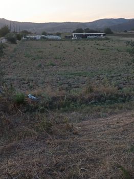 Αγροτεμάχια 9.100 τ.μ. για πώληση