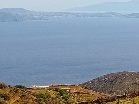 Αγροτεμάχια 4.000 τ.μ. προς πώληση