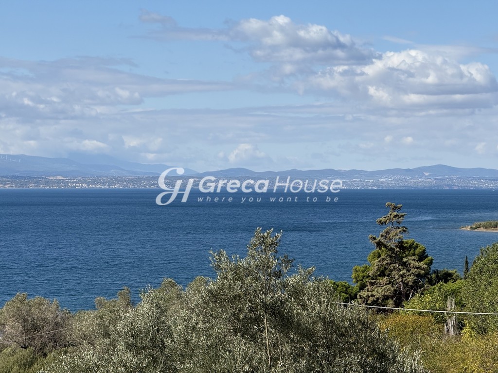 Βίλλα 330 τ.μ. πρός πώληση, Εύβοια, Αμάρυνθος