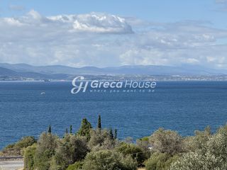 Βίλλα 330 τ.μ. προς πώληση, Εύβοια, Αμάρυνθος-thumb-19