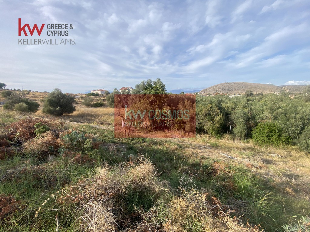 Οικόπεδο 503 τ.μ. προς πώληση, Χαλκίδα