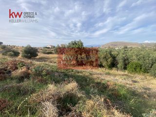 Οικόπεδο 503 τ.μ. για πώληση, Εύβοια, Χαλκίδα-thumb-4