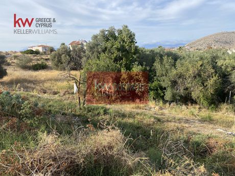 Land plot 503sqm for sale-Chalkida