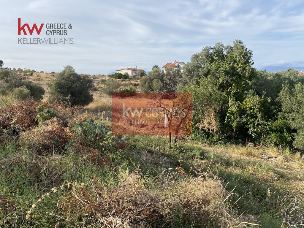 Οικόπεδο 503 τ.μ. προς πώληση, Χαλκίδα